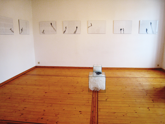 Bild